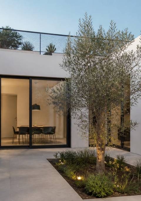 Maison cubique avec patio central : comment créer un cœur de maison lumineux, intime et contemporain